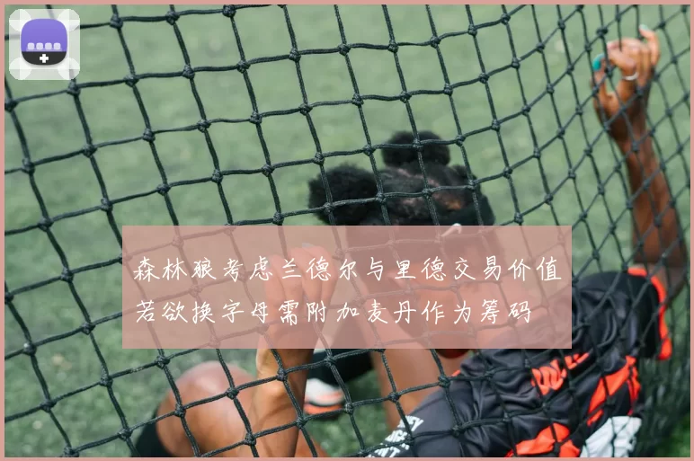 森林狼考虑兰德尔与里德交易价值若欲换字母需附加麦丹作为筹码